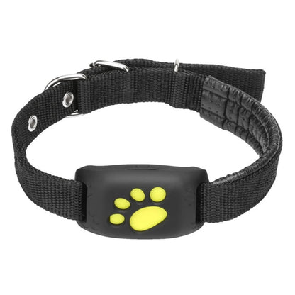 Dog GPS tractive Tracker Collar / Chien GPS