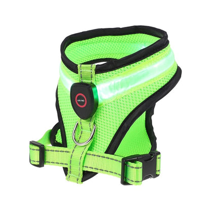 Benepaw - LED Light Dog Harness