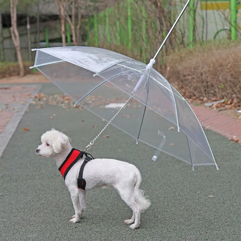 Regenschirmleine für Hunde, regenfest