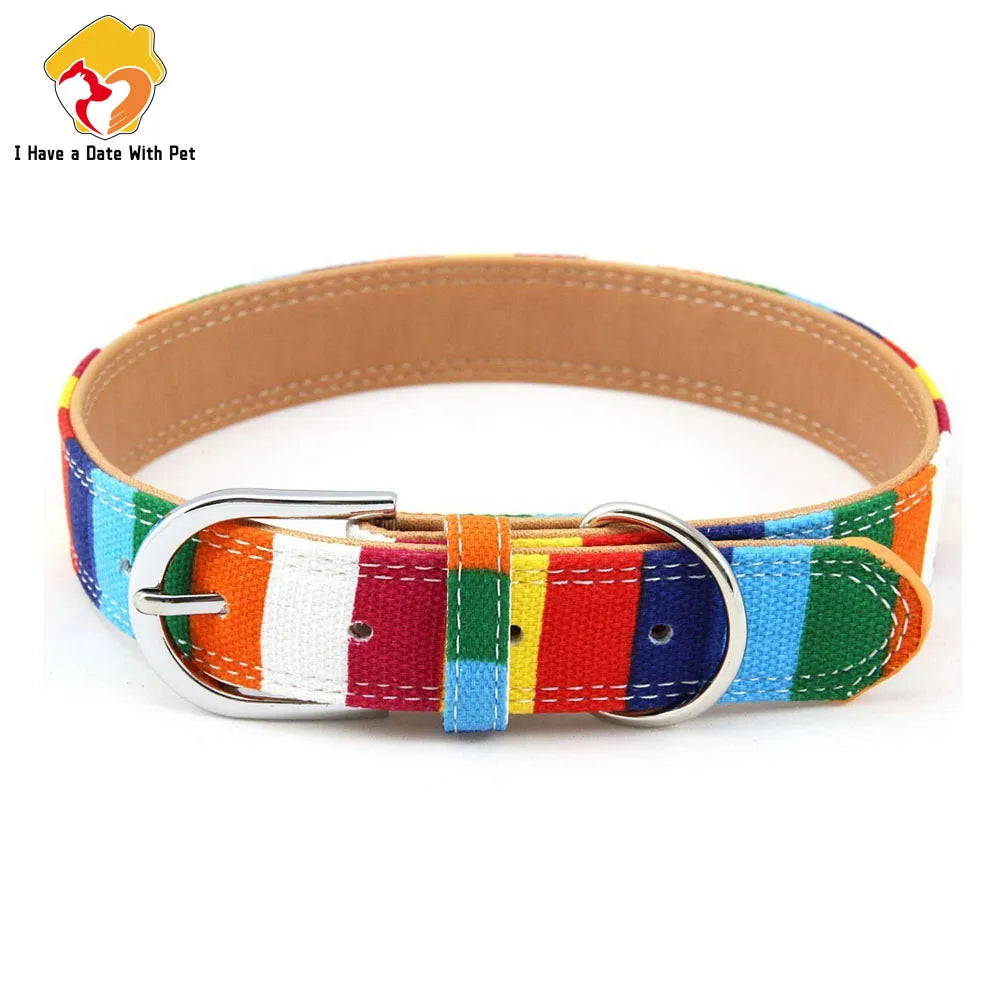 Padded Dog Collar