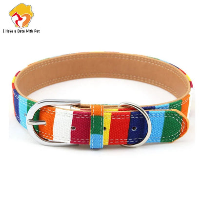 Padded Dog Collar