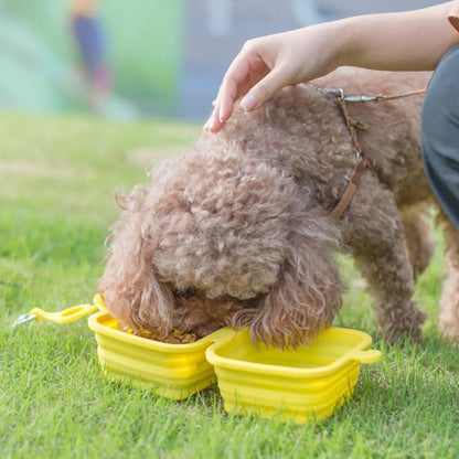 Foldable Collapsable Bowl