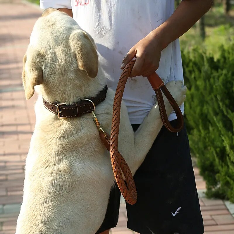 Leather Luxury Pet Dog Leash