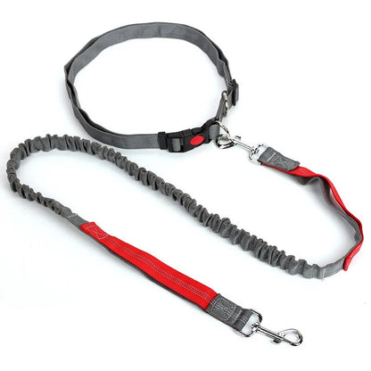 Elastic Dog Dog Multifunctional Leash