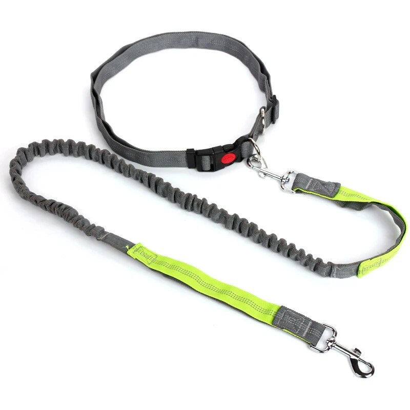 Elastic Dog Dog Multifunctional Leash