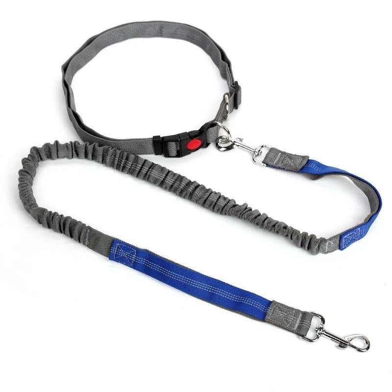 Elastic Dog Dog Multifunctional Leash