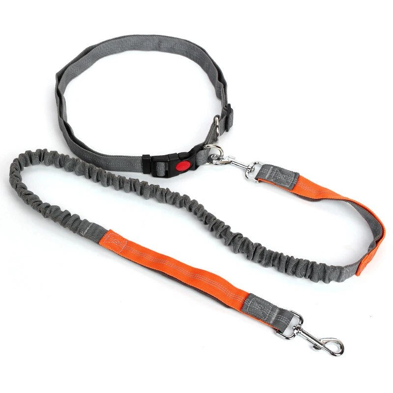 Elastic Dog Dog Multifunctional Leash