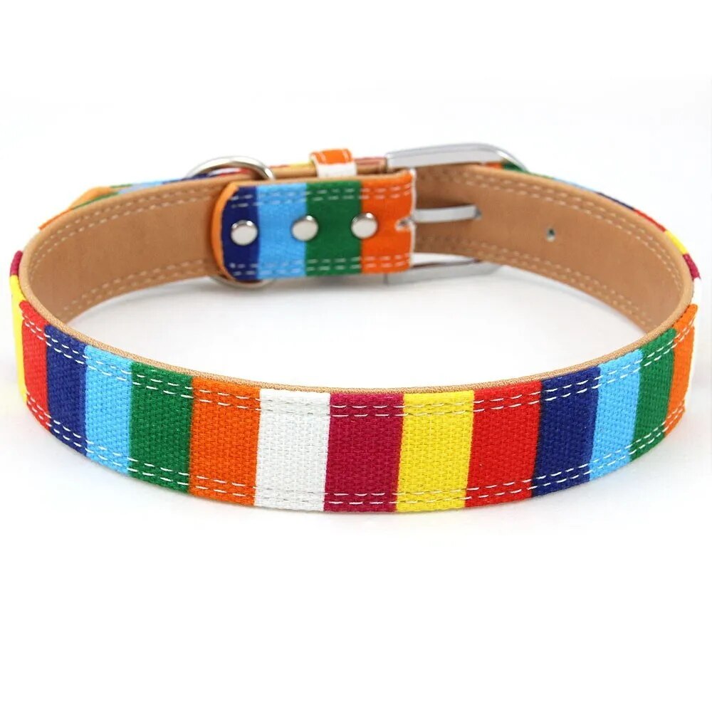 Padded Dog Collar