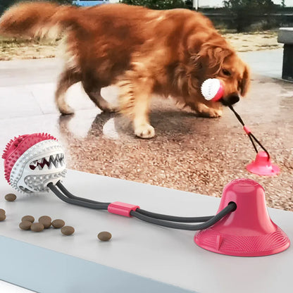 Interactive Silicon Dog Ball - Tooth Cleaning Toys