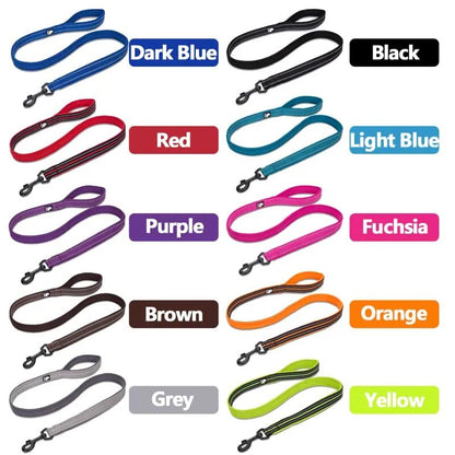 Truelove Soft Padded Reflective Nylon Dog Leash