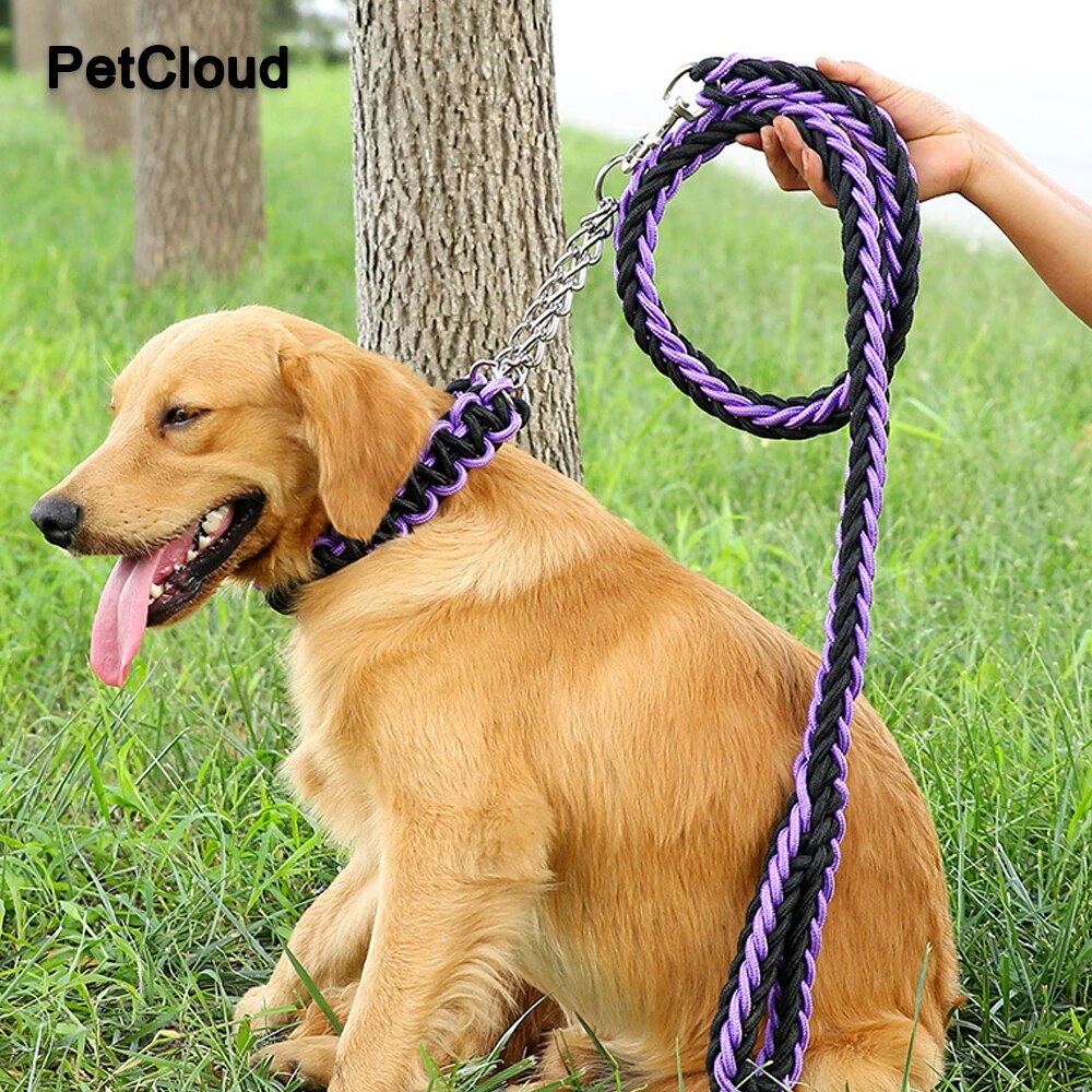 Nylon Traction Dog Leash