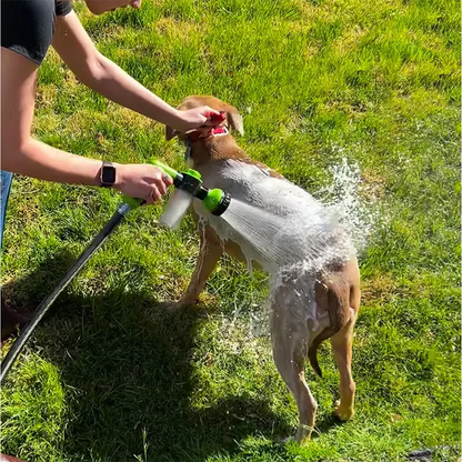 Düsen-Hundedusche