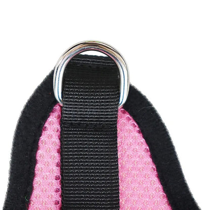 Nylon Mesh Cat / Puppy Harness And Leash