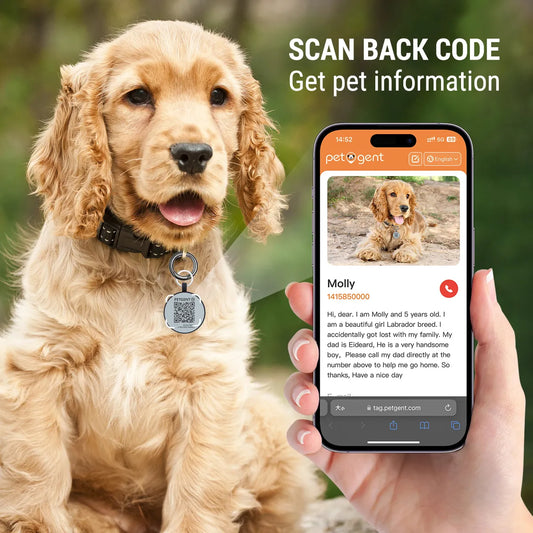 QR Code Pet ID Tag