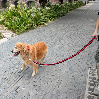 Large Heavy Duty Dog Leash