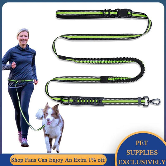 Hands Free Dog Leash for Running Jogging