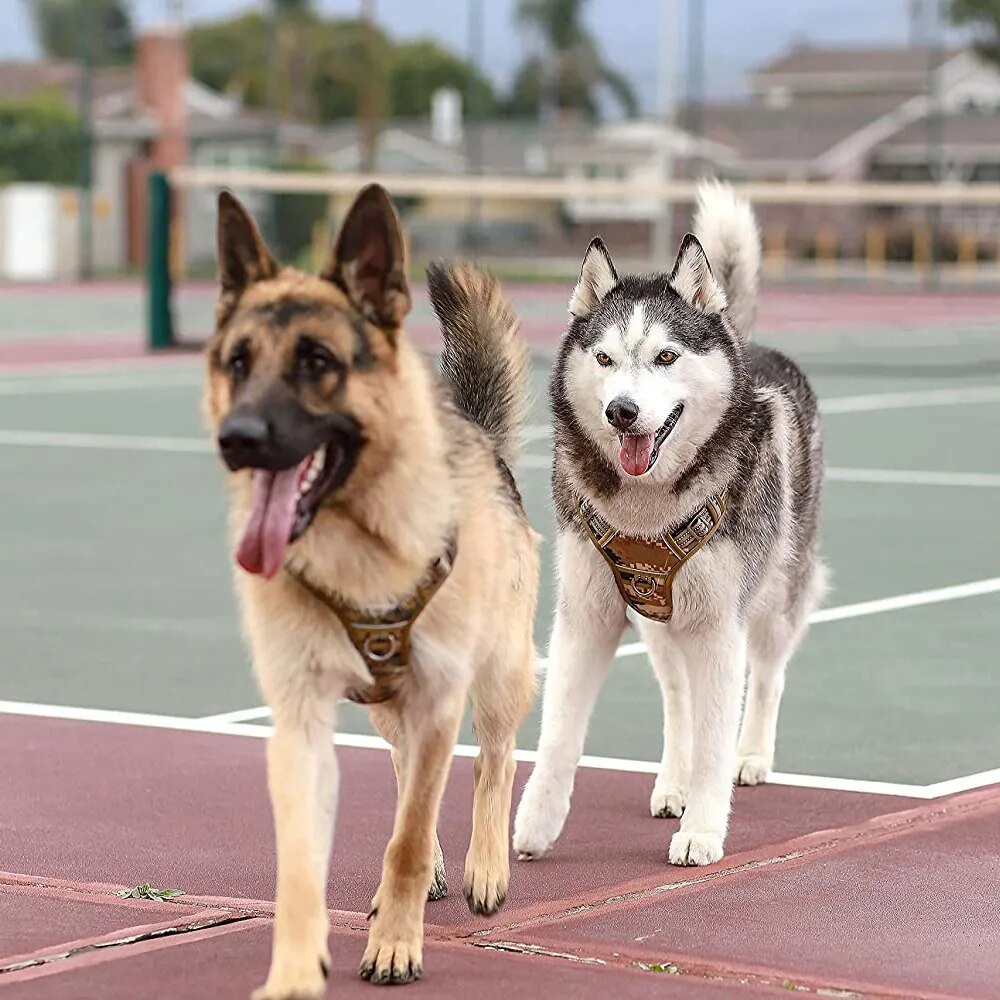 Best Friend - Tactical Dog Harness