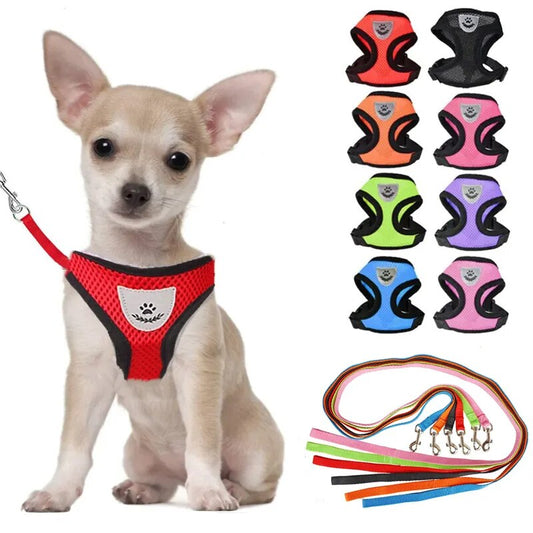 Nylon Mesh Cat / Puppy Harness And Leash