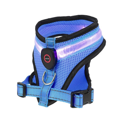 Benepaw - LED Light Dog Harness