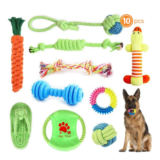 Resistant molar Dog Toys - 10 pieces