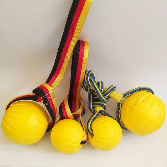 Selection of Interactive Dog Toys