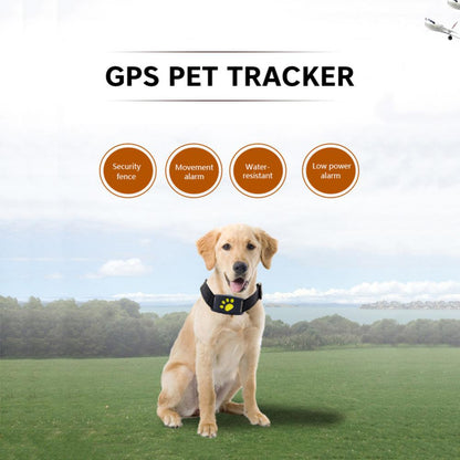 Dog GPS tractive Tracker Collar / Chien GPS