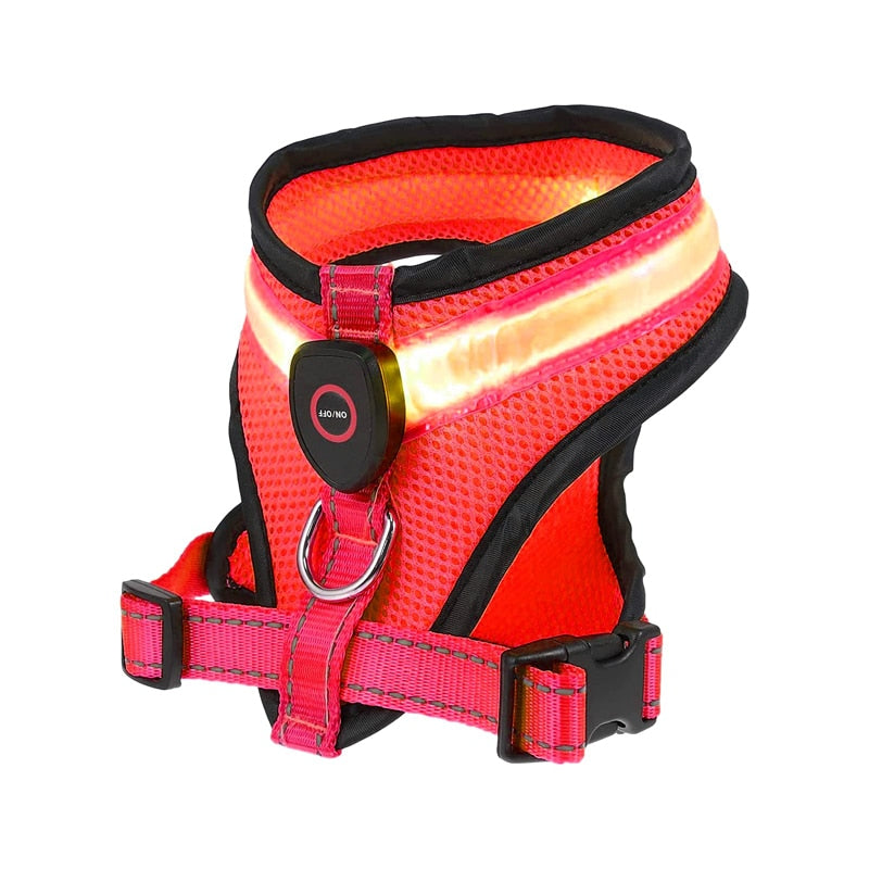 Benepaw - LED Light Dog Harness