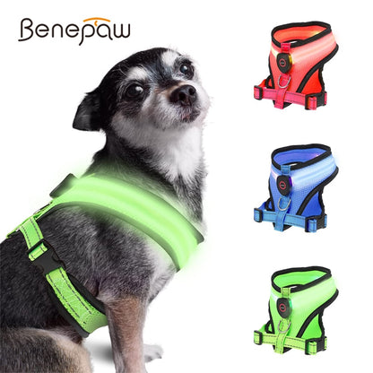 Benepaw - LED Light Dog Harness