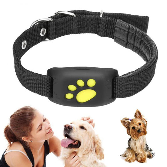 Dog GPS tractive Tracker Collar / Chien GPS