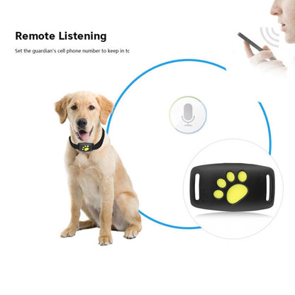 Dog GPS tractive Tracker Collar / Chien GPS