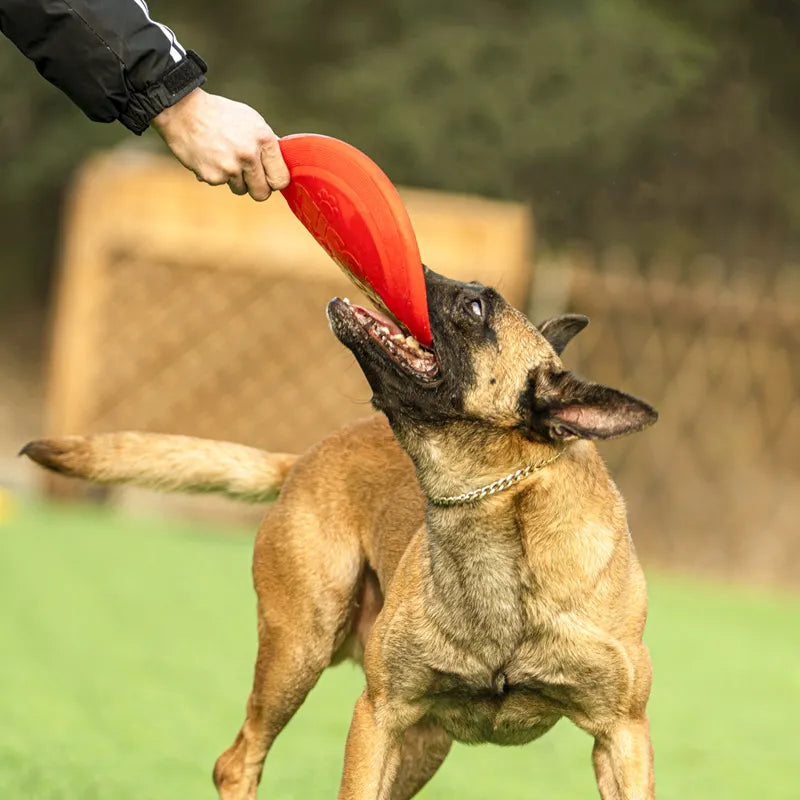 OnlinePetToys™ – Gummi-Flugscheibe für Hunde