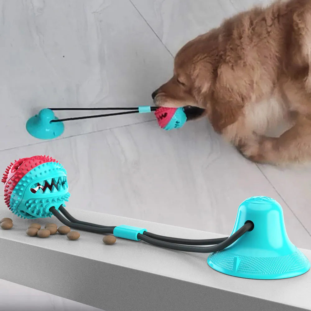 Interactive Silicon Dog Ball - Tooth Cleaning Toys