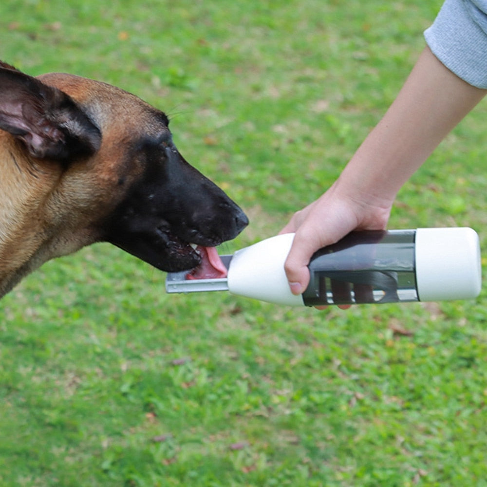 Bouteille d'eau portative pour chien de 350 ml