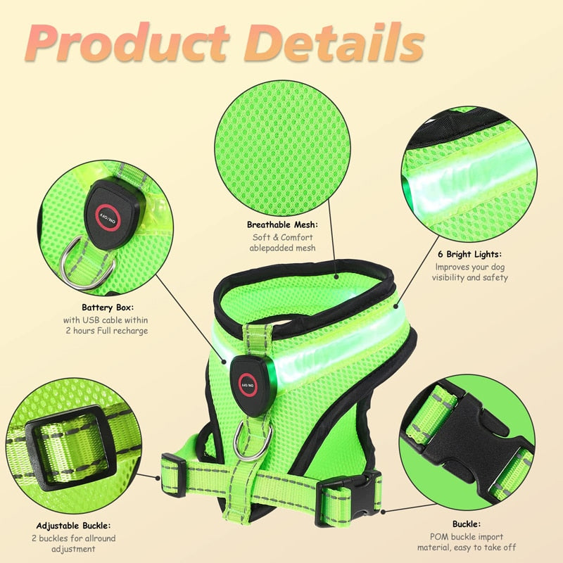 Benepaw - LED Light Dog Harness